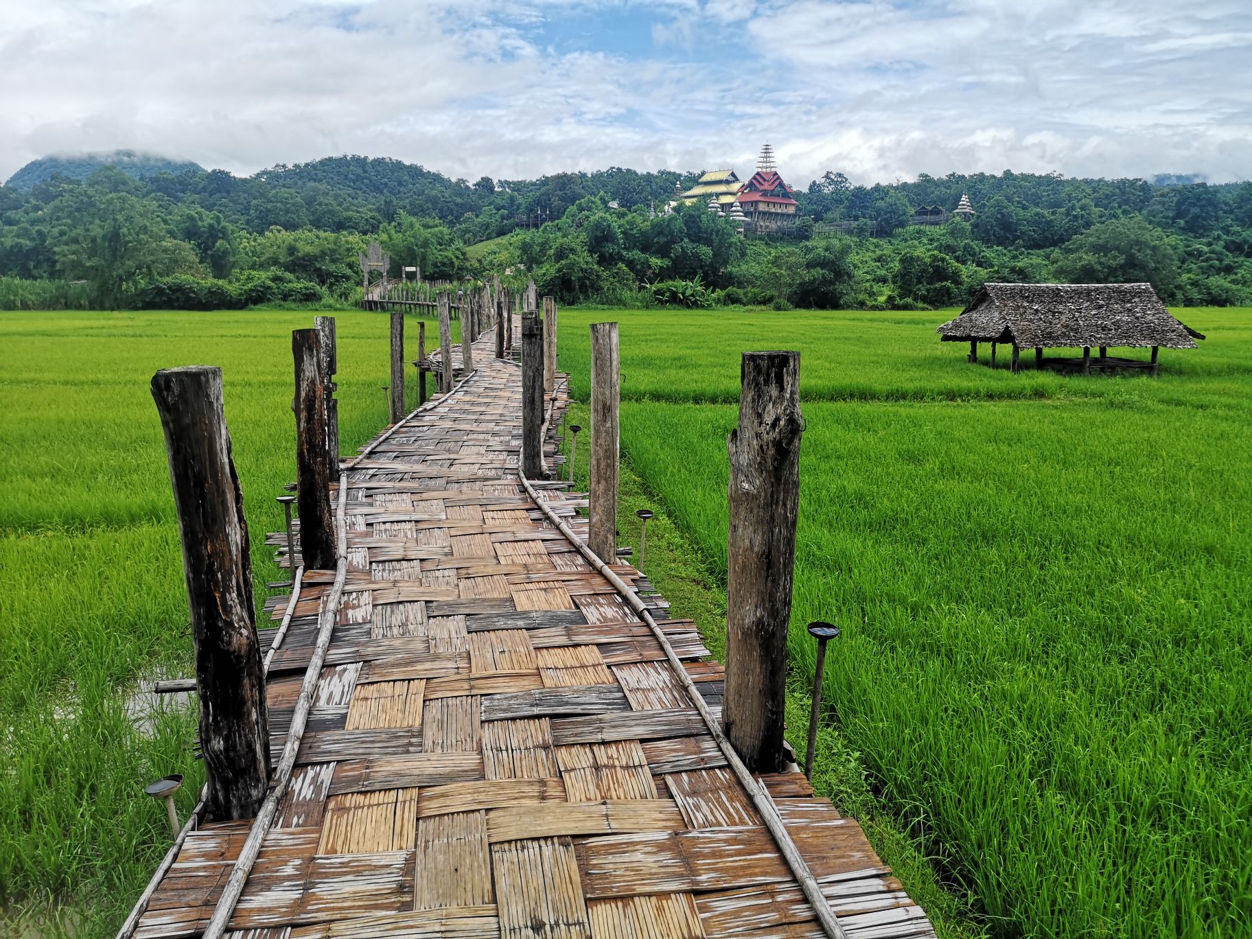 pont en bambou thailande